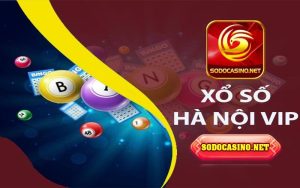 Xổ Số Hà Nội Vip Là Gì? Hướng Dẫn Chơi Xổ Số Cho Tân Thủ